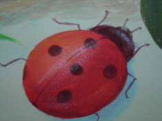 More Ladybugs